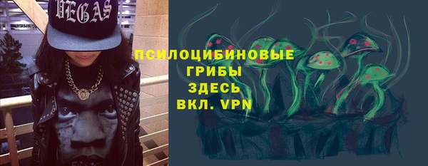 стафф Алзамай