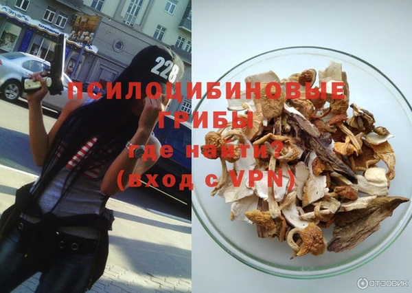 стафф Алзамай