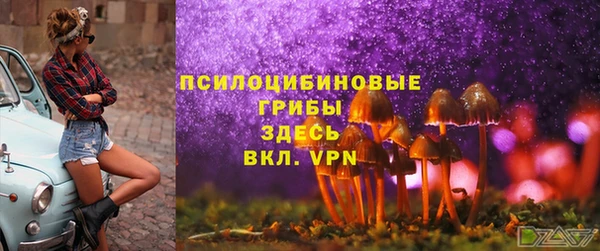 герыч Алексеевка