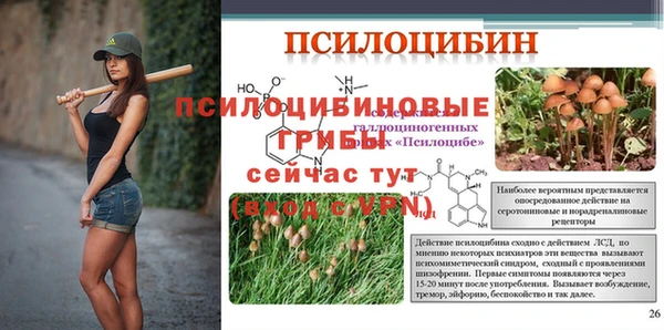 стафф Алзамай