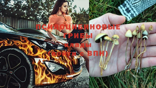 стафф Алзамай
