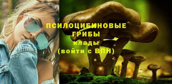 стафф Алзамай