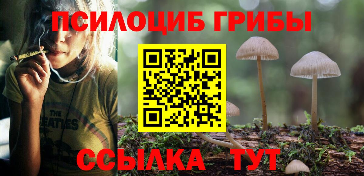 Белореченск  Псилоцибиновые грибы мухоморы  Вход с VPN  Псилоцибиновые грибы мухоморы 